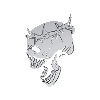 SaintVhn